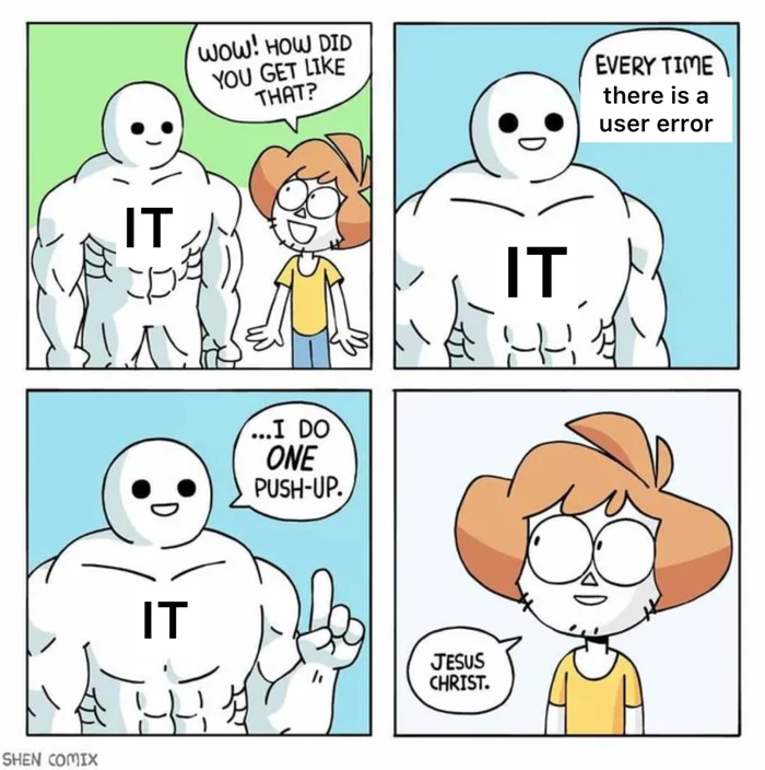 IT Meme